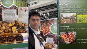 दुबईको एक्सपोमा इलामको अदुवा र अलैँचीले विश्वको ध्यान खिच्यो