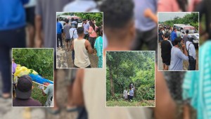 बाघको आक्रमणबाट बारामा एक जनाको मृत्यु