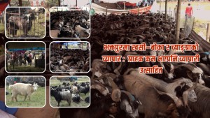 ग्राहक कम भएपनि व्यापारी उत्साहित