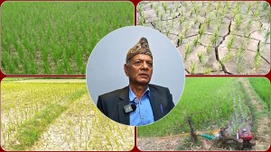 चुरे क्षेत्रको दोहनले मधेशमा खडेरी पर्‍यो, बैकल्पिक बालीमा जोड्दिनुपर्छ : कृषिविज्ञ