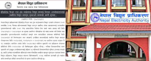 डिकेटेड फिडर तथा ट्रंक लाईन बक्यौता २१ दिनभित्र भुक्तानी गर्न प्राधिकरणको आग्रह