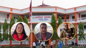 वार्षिकोत्सवको तयारीमा मधेश प्रदेश सभा, संघीयतामाथि प्रश्न जीवितै