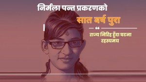 निर्मला पन्त प्रकरणको सात वर्ष, राज्य निरिह हुँदा घट्ना रहस्यमै