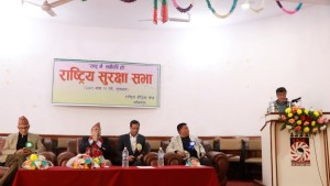 राष्ट्रिय सुरक्षा सभा सम्पन्न, सुरक्षालाई महत्व नदिएकोमा चिन्ता  