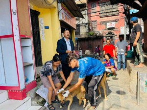 स्नेहाज केयरले दियो  सामुदायिक कुकुरलाई रेबिजविरुद्धको खोप 