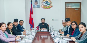 सुरक्षा संयन्त्रबारे अध्ययन गर्न तीन सदस्यीय समिति गठन