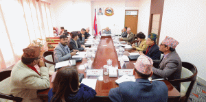 जेन जेड सहिद परिवार कल्याणकारी समाजलाई अनुदान उपलब्ध गराइने