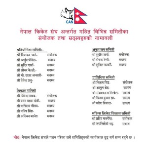क्यानले बनायो पाँच समिति