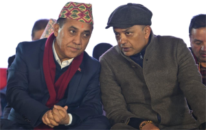 कांग्रेसलाई नेतृत्व गर्न सक्ने, देशलाई बदल्न सक्ने दह्रो मान्छे गगन थापा हो : विश्वप्रकाश शर्मा