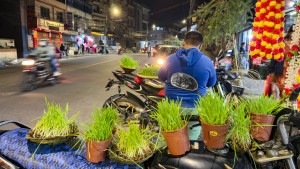 दशैंमा चम्किएको जमराको व्यापार