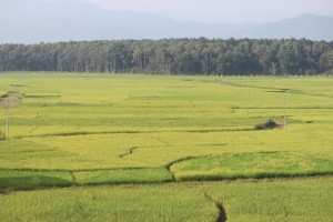 कर्णालीमा खेती गरिएको ६९ प्रतिशत जमिन सिँचाइविहीन