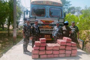 २ सय ७२ किलो गाँजासहित कन्टेनर र चालक नियन्त्रणमा