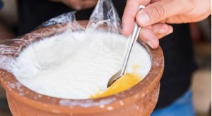 दहीमा यी बिउ मिसाएर कपालमा लगाउनुहोस्, झर्न हुन्छ कम