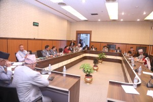 अपडेटः ‘कुलिङ अफ पिरियड’ प्रकरणमा छानबिन समितिका यी हुन ७ सदस्य