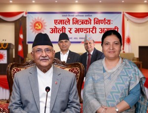 विद्यालाई दोस्रो वरीयतामा ल्याइएपछि पार्टीभित्र हलचल