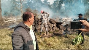 रौतहटको नमुना सामुदायिक वनमा आगलागी, १ करोड बढीको काठ नष्ट