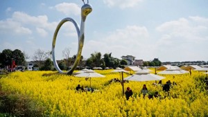 तोरीबारीमा बसेर डिनर खाने पर्यटकीय गन्तब्य बन्दै चीन