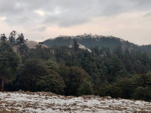 शैलुङ क्षेत्रमा हिजोबाट हिउँ पर्न सुरु