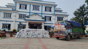 काउली बोकेको ट्रकभित्र २ हजार ५६६ किलो गाँजा, चालक र सहचालक पक्राउ