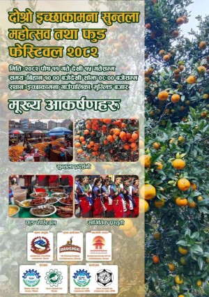 इच्छाकामनामा सुन्तला महोत्सव : पालिकामा १० करोड रुपैयाँसम्म कारोबार