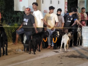 जनकपुरधामको राजदेवी मन्दिरमा १४ हजार ८९१ बोकाको बलि