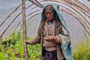 मुगुमा तरकारी खेतीबाट महिलाहरू आत्मनिर्भर