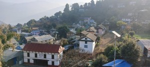 किसानलाई बाँदरको चिन्ता, समात्नेलाई एक हजार नगद