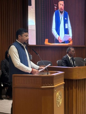 विश्वलाई भोटेकोशी विपत्तिबारे जानकारी गराउँदै नेपाल