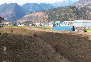 मार्तडीमा भौतिक संरचना थपिँदै, खेतीयोग्य जमिन मासिँदै