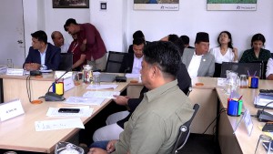संघीय संसद्का चार समितिको बैठक बस्दै