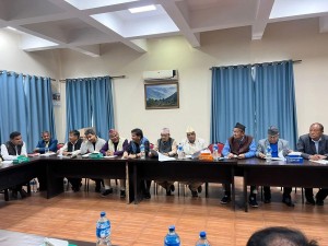 कांग्रेस केन्द्रीय कार्यसम्पादन समितिको बैठकमा समानुपातिक सूचीबारे छलफल