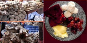 आज माघे सङ्क्रान्ति, घिउ-चाकु-तरुल खाएर मनाइँदै