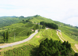 ‘निसान पदमार्ग’ पुस २३ देखि २६ गतेसम्म हुँदै