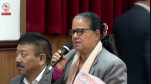 मलङ्गवामा दादुरा–रुवेलाको प्रकोप बढिरहेकोमा चिन्ता