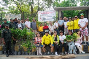 सडक किनारा, पार्क, नदी किनारामा समी, कपुर, फलफुलका विरुवा रोपिए