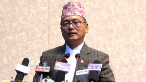 नयाँ पार्टीहरुको कुनै सिद्धान्त स्पष्ट छैन, तर प्रधानमन्त्रीको दलाली सुरु भइसक्यो : लिङ्देन