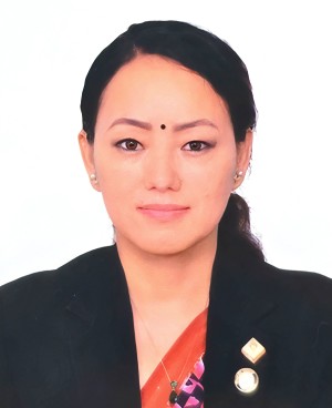 नेप्सेले सिडिएससीबाट किन फिर्ता बोलायो प्रविन पन्दाकलाई ?