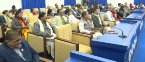 उपभोक्ता समितिबाट काम गराउन प्रदेशसभाबाट संकल्प प्रस्ताव बहुमतले पारित