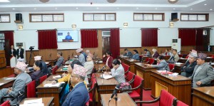 राष्ट्रिय सभाको १९औँ अधिवेशन अन्त्य