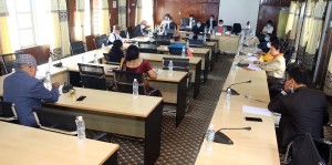 कोरम नपुगेपछि समितिको बैठक स्थगित