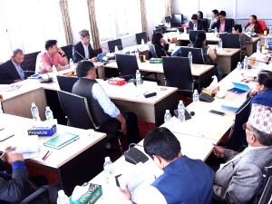 संघीयता सबलीकरण तथा राष्ट्रिय सरोकार समितिको बैठक बस्दै