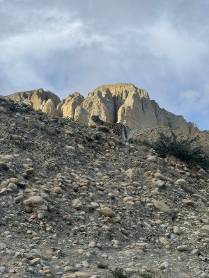 मुस्ताङको प्राकृतिक बास्थानमा भेटियो हिउँ चितुवा