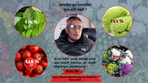 मौसमी तरकारीको मूल्य नै ४०० प्रतिशत सम्मले वृद्धि