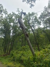 लगातारको वर्षाले रुख ढल्दा सुर्खेत–जाजरकोटतर्फको विद्युत् सेवा प्रभावित