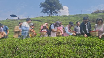 इलाममा चिया टिप्दै १५ देशका कूटनीतिज्ञहरू, ‘पर्यटन दूत’ बन्न मन्त्रीको आग्रह