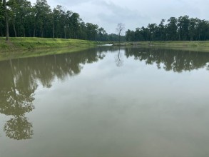 टुरिजमको क्षेत्रमा फड्को मार्न खोज्दै झापाको चन्द्रगढी सामुदायिक वन