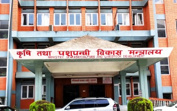 कोप–३१ : आन्तरिक तयारी तीव्र, राष्ट्रिय स्थितिपत्र अन्तिम चरणमा
