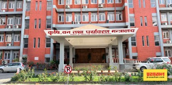 सरकारले उखु किसानलाई १ अर्ब ५० करोड रुपैयाँभन्दा बढी अनुदान दिने