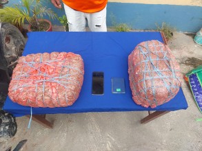 नौ किलो गाँजासहित एक युवा पक्राउ
