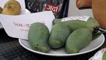 काठमाडौंमा आँप महोत्सव : प्रतिकिलो चार लाख पर्ने आँप प्रदर्शनमा 